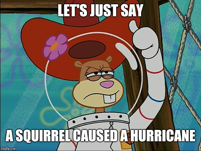 Sandy Cheeks | LET'S JUST SAY A SQUIRREL CAUSED A HURRICANE | image tagged in sandy cheeks | made w/ Imgflip meme maker