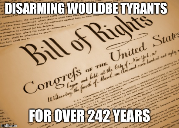 BOR | DISARMING WOULDBE TYRANTS; FOR OVER 242 YEARS | image tagged in bill of rights | made w/ Imgflip meme maker