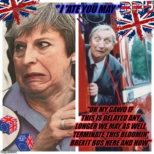 BLAKEY MAY | " I 'ATE YOU MAY "; "OH MY GAWD IF THIS IS DELAYED ANY LONGER WE MAY AS WELL TERMINATE THIS BLOOMIN' BREXIT BUS HERE AND NOW" | image tagged in blakey may | made w/ Imgflip meme maker