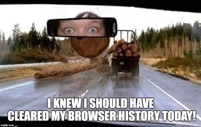 Logged-Out | I KNEW I SHOULD HAVE CLEARED MY BROWSER HISTORY TODAY! | image tagged in memes | made w/ Imgflip meme maker