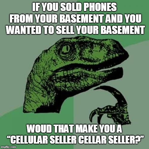 Philosoraptor Meme | IF YOU SOLD PHONES FROM YOUR BASEMENT AND YOU WANTED TO SELL YOUR BASEMENT; WOUD THAT MAKE YOU A “CELLULAR SELLER CELLAR SELLER?” | image tagged in memes,philosoraptor | made w/ Imgflip meme maker