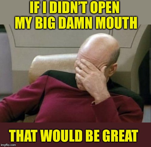 Captain Picard Facepalm Meme | IF I DIDN’T OPEN MY BIG DAMN MOUTH THAT WOULD BE GREAT | image tagged in memes,captain picard facepalm | made w/ Imgflip meme maker