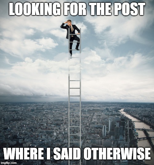 searching | LOOKING FOR THE POST; WHERE I SAID OTHERWISE | image tagged in searching | made w/ Imgflip meme maker
