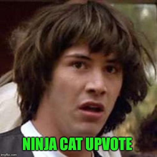 Conspiracy Keanu Meme | NINJA CAT UPVOTE | image tagged in memes,conspiracy keanu | made w/ Imgflip meme maker