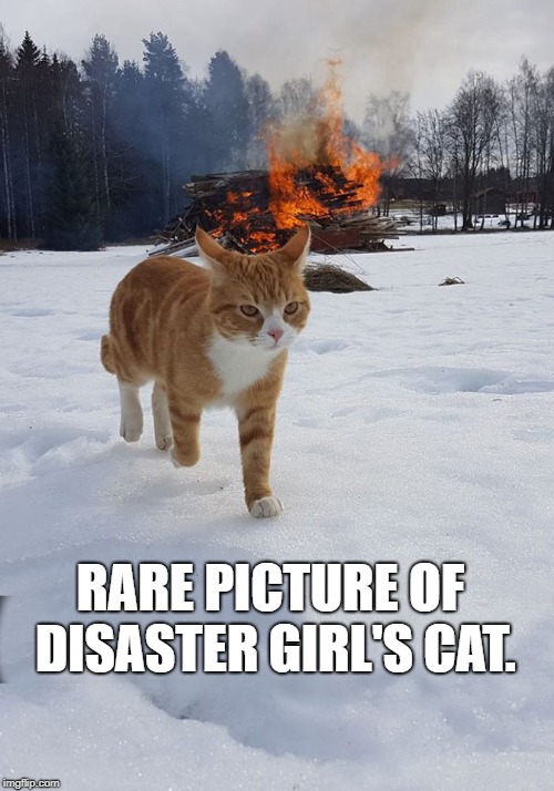 Disaster cat | RARE PICTURE OF DISASTER GIRL'S CAT. | image tagged in disaster girl,cat,firestater | made w/ Imgflip meme maker