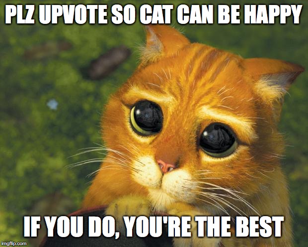 Pretty Please Cat | PLZ UPVOTE SO CAT CAN BE HAPPY; IF YOU DO, YOU'RE THE BEST | image tagged in pretty please cat | made w/ Imgflip meme maker
