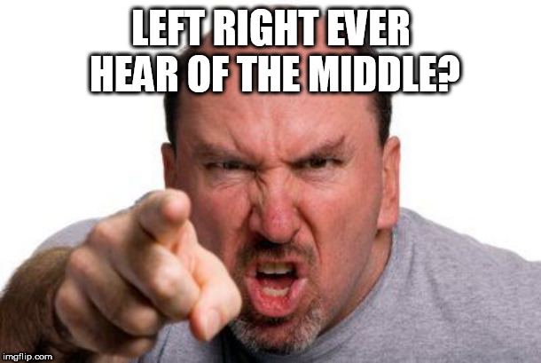 Angry Man Pointing | LEFT RIGHT EVER HEAR OF THE MIDDLE? | image tagged in angry man pointing | made w/ Imgflip meme maker