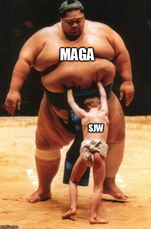 Young sumo kid | MAGA; SJW | image tagged in young sumo kid | made w/ Imgflip meme maker