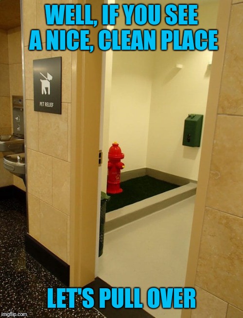 Doggy Loo | WELL, IF YOU SEE A NICE, CLEAN PLACE; LET'S PULL OVER | image tagged in dog,toilet | made w/ Imgflip meme maker