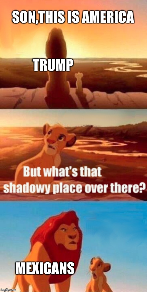 Simba Shadowy Place | SON,THIS IS AMERICA; TRUMP; MEXICANS | image tagged in memes,simba shadowy place | made w/ Imgflip meme maker