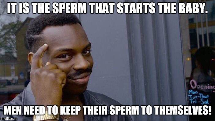 Roll Safe Think About It Meme | IT IS THE SPERM THAT STARTS THE BABY. MEN NEED TO KEEP THEIR SPERM TO THEMSELVES! | image tagged in memes,roll safe think about it | made w/ Imgflip meme maker
