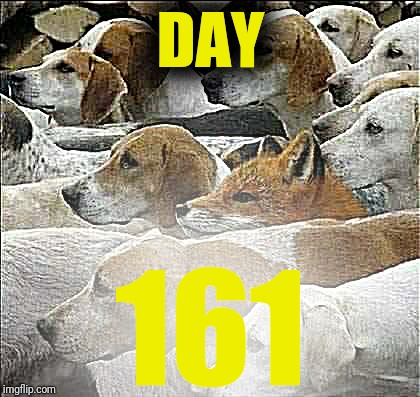 Fox and Foxhounds | DAY 161 | image tagged in fox and foxhounds | made w/ Imgflip meme maker