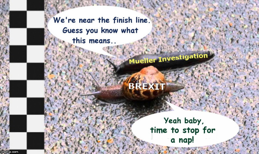 image tagged in no hurry my friend,snails  slugs,brexit,mueller investigation,government corruption | made w/ Imgflip meme maker