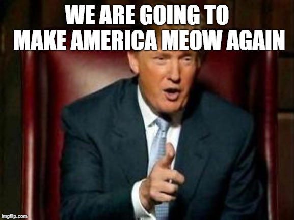 WE ARE GOING TO MAKE AMERICA MEOW AGAIN | image tagged in donald trump | made w/ Imgflip meme maker