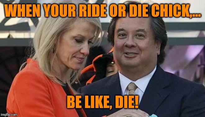 Nice marriage ya got there, it'd be a shame if something were to happen to it. | WHEN YOUR RIDE OR DIE CHICK,... BE LIKE, DIE! | image tagged in sewmyeyesshut,kellyanne conway,george conway,funny memes,trump,ride or die bites | made w/ Imgflip meme maker