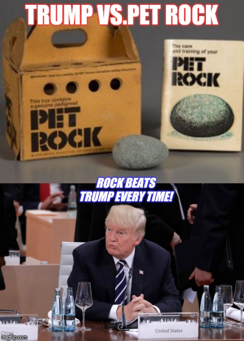 TRUMP VS.PET ROCK ROCK BEATS TRUMP EVERY TIME! | image tagged in pet rock | made w/ Imgflip meme maker