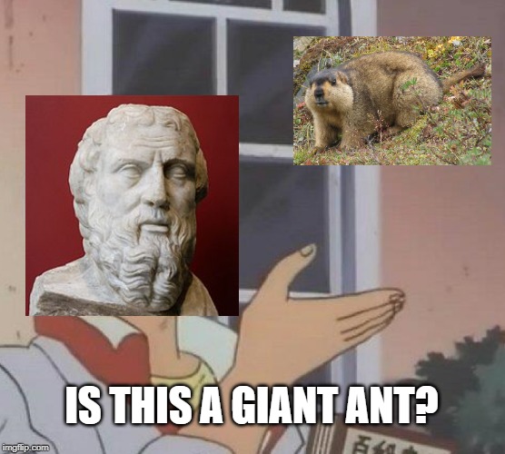 Is This A Pigeon | IS THIS A GIANT ANT? | image tagged in memes,is this a pigeon | made w/ Imgflip meme maker