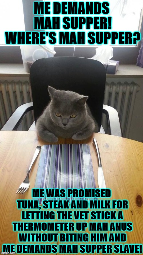ME DEMANDS | ME DEMANDS MAH SUPPER! WHERE'S MAH SUPPER? ME WAS PROMISED TUNA, STEAK AND MILK FOR LETTING THE VET STICK A THERMOMETER UP MAH ANUS WITHOUT BITING HIM AND ME DEMANDS MAH SUPPER SLAVE! | image tagged in me demands | made w/ Imgflip meme maker