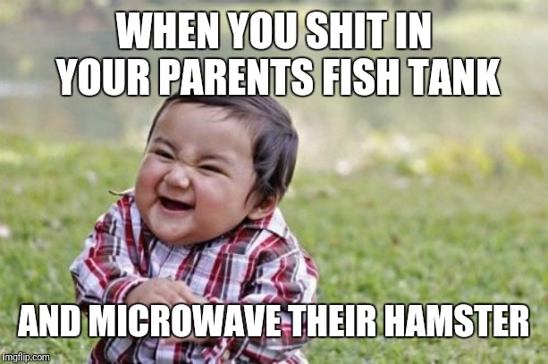 Evil Toddler | WHEN YOU SHIT IN YOUR PARENTS FISH TANK; AND MICROWAVE THEIR HAMSTER | image tagged in memes,evil toddler | made w/ Imgflip meme maker