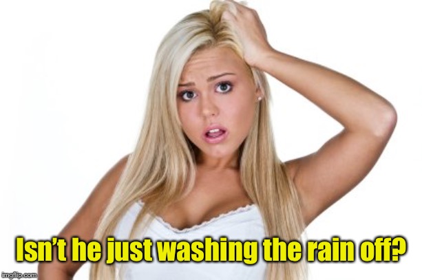 Dumb Blonde | Isn’t he just washing the rain off? | image tagged in dumb blonde | made w/ Imgflip meme maker