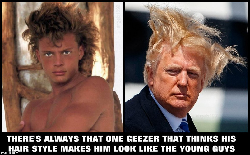 image tagged in trump,bad hair day,hairstyle,old man,expectation vs reality,big hair | made w/ Imgflip meme maker