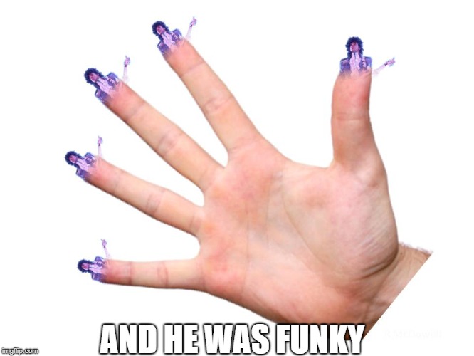 AND HE WAS FUNKY | AND HE WAS FUNKY | image tagged in finger,prince,purple rain,hand | made w/ Imgflip meme maker