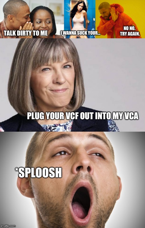 synthmemez |  NO NO. TRY AGAIN. I WANNA SUCK YOUR... TALK DIRTY TO ME; PLUG YOUR VCF OUT INTO MY VCA; *SPLOOSH | image tagged in synthesizer | made w/ Imgflip meme maker