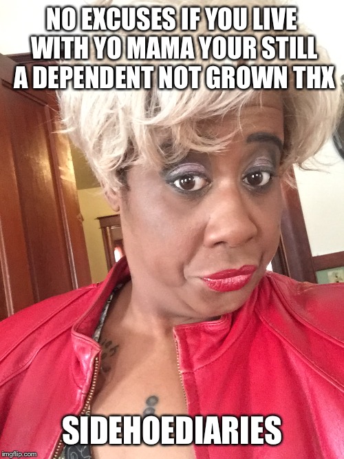 Sidehoediaries | NO EXCUSES IF YOU LIVE WITH YO MAMA YOUR STILL A DEPENDENT NOT GROWN THX; SIDEHOEDIARIES | image tagged in funny,politics,taxes | made w/ Imgflip meme maker