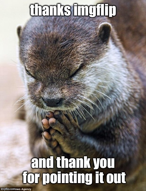 Thank you Lord Otter | thanks imgflip and thank you for pointing it out | image tagged in thank you lord otter | made w/ Imgflip meme maker