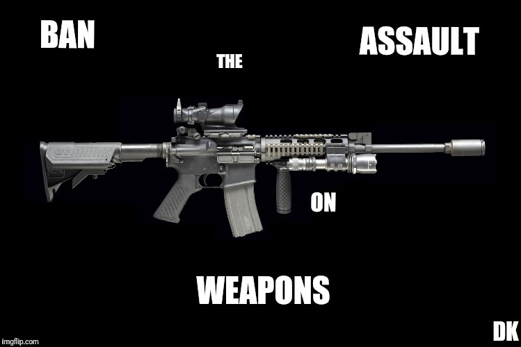 Ar15 | BAN; ASSAULT; THE; ON; WEAPONS; DK | image tagged in ar15 | made w/ Imgflip meme maker