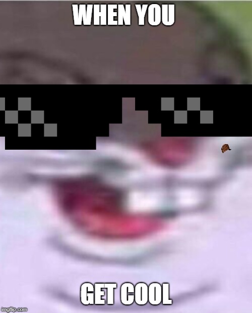 Big Chungus | WHEN YOU; GET COOL | image tagged in big chungus | made w/ Imgflip meme maker