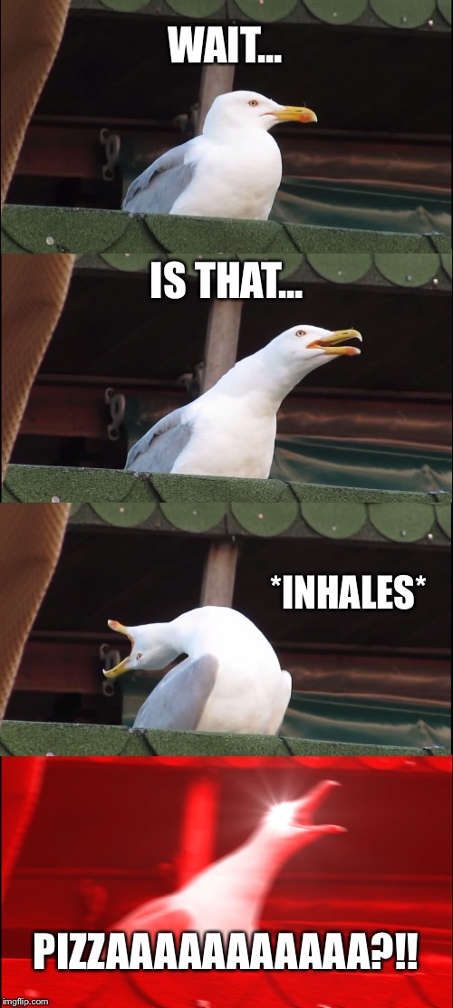 Inhaling Seagull Meme | WAIT... IS THAT... *INHALES*; PIZZAAAAAAAAAAA?!! | image tagged in memes,inhaling seagull | made w/ Imgflip meme maker