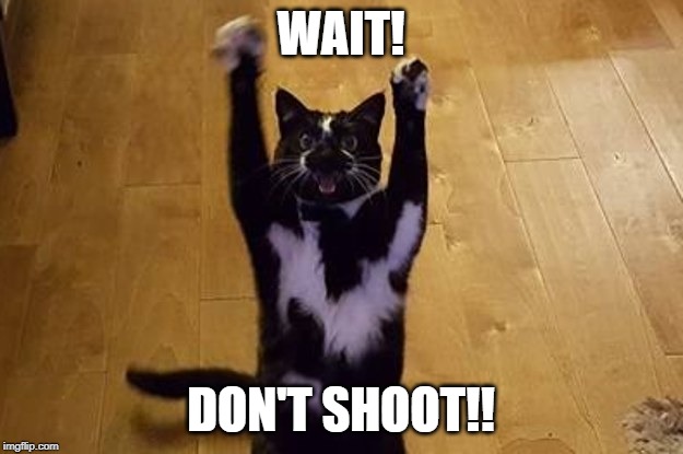 WAIT! DON'T SHOOT!! | made w/ Imgflip meme maker