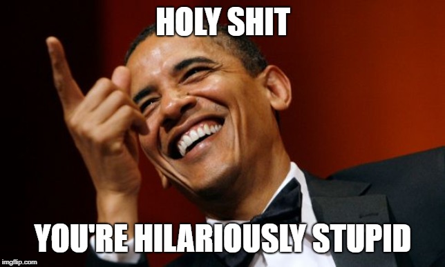 Barack Obama pointing and laughing | HOLY SHIT YOU'RE HILARIOUSLY STUPID | image tagged in barack obama pointing and laughing | made w/ Imgflip meme maker