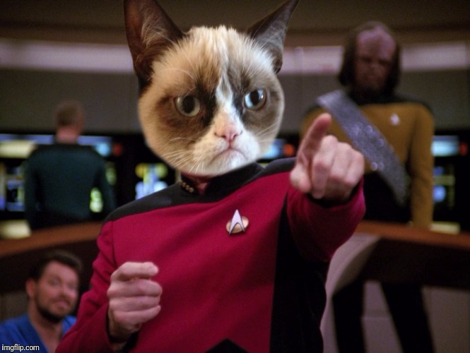 Grumpy Cat Picard | image tagged in grumpy cat,picard,grumpy,cat,captain picard | made w/ Imgflip meme maker