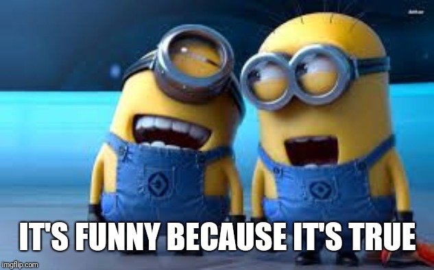 minion laughing | IT'S FUNNY BECAUSE IT'S TRUE | image tagged in minion laughing | made w/ Imgflip meme maker
