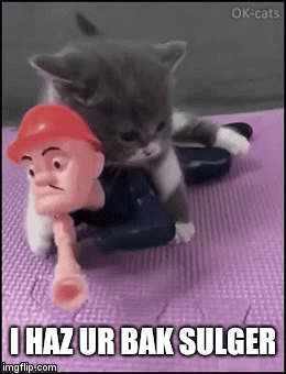 I HAZ UR BAK SULGER | image tagged in gifs | made w/ Imgflip video-to-gif maker