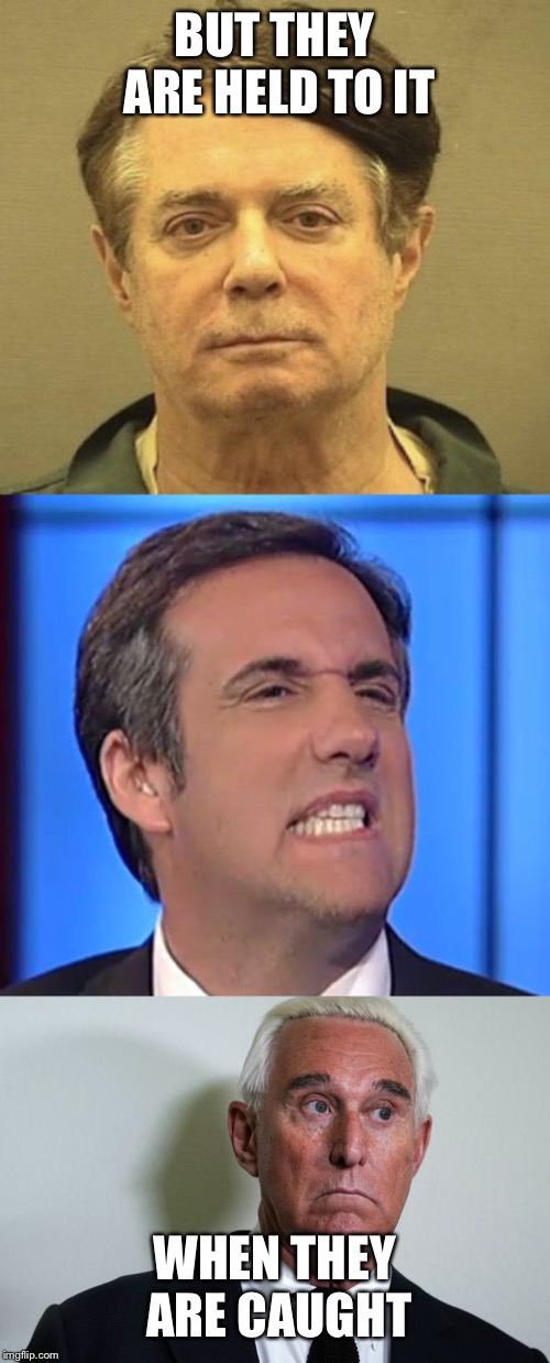 BUT THEY ARE HELD TO IT WHEN THEY ARE CAUGHT | image tagged in michael cohen,manafort mugshot,roger stone | made w/ Imgflip meme maker