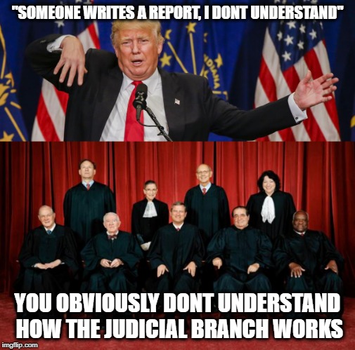 Maybe if he read the constitution or at least the cliff notes even once, he might get it.  | "SOMEONE WRITES A REPORT, I DONT UNDERSTAND"; YOU OBVIOUSLY DONT UNDERSTAND HOW THE JUDICIAL BRANCH WORKS | image tagged in memes,maga,impeach trump,moron,politics | made w/ Imgflip meme maker