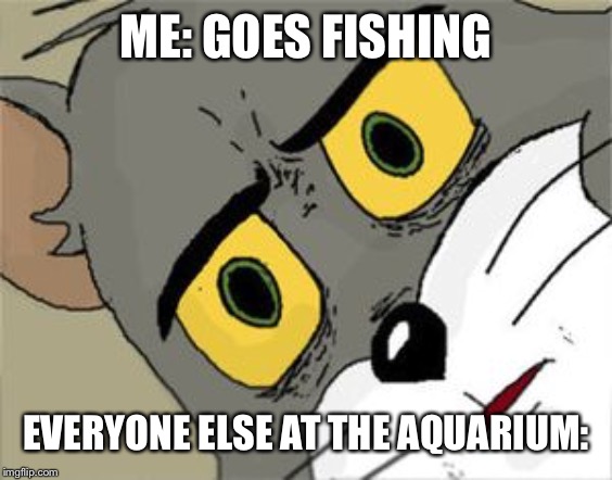 Unsettled Tom | ME: GOES FISHING; EVERYONE ELSE AT THE AQUARIUM: | image tagged in unsettled tom | made w/ Imgflip meme maker