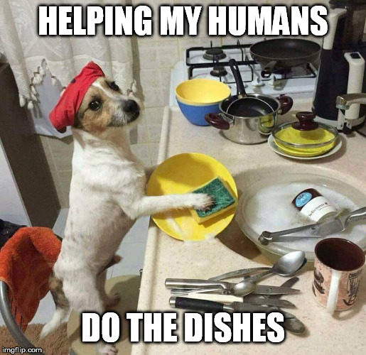 HELPING MY HUMANS DO THE DISHES | made w/ Imgflip meme maker