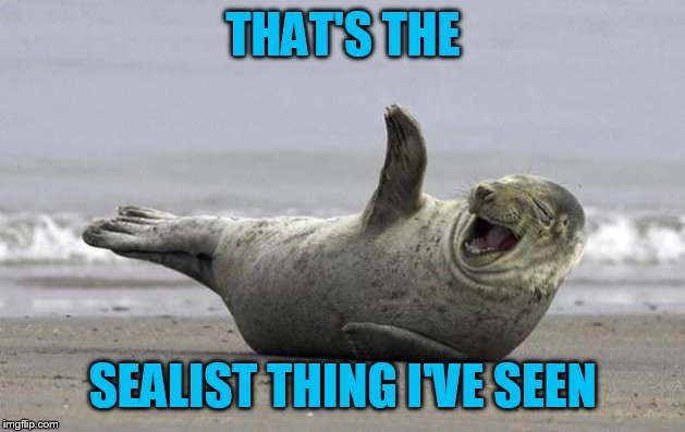 laughing seal | THAT'S THE SEALIST THING I'VE SEEN | image tagged in laughing seal | made w/ Imgflip meme maker