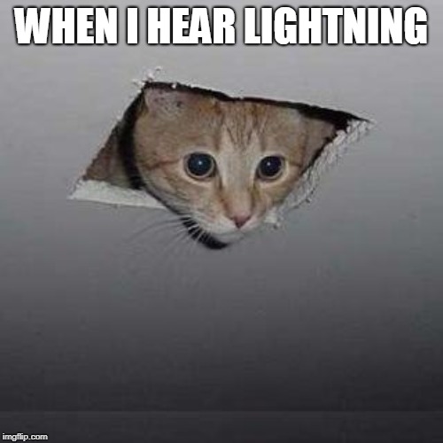 Ceiling Cat Meme | WHEN I HEAR LIGHTNING | image tagged in memes,ceiling cat | made w/ Imgflip meme maker