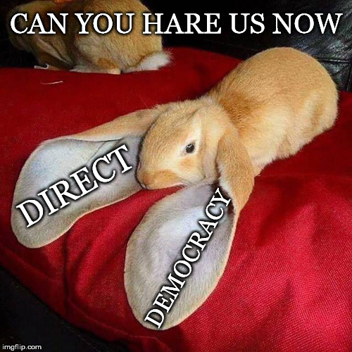 Can You | CAN YOU HARE US NOW; DIRECT; DEMOCRACY | image tagged in direct democracy,bunnies,hare,long,floppy,ears | made w/ Imgflip meme maker