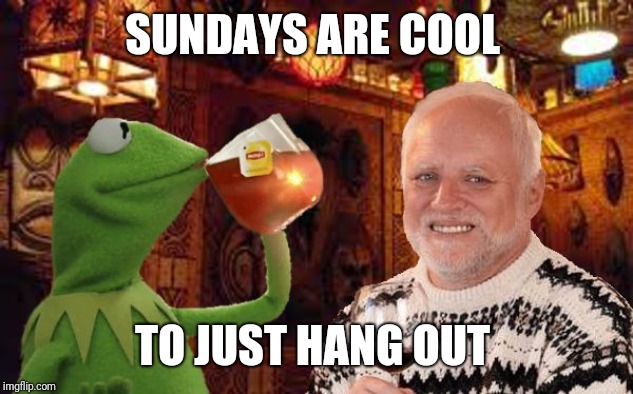 Harold and Kermit at the Oasis Lounge | SUNDAYS ARE COOL TO JUST HANG OUT | image tagged in harold and kermit at the oasis lounge | made w/ Imgflip meme maker