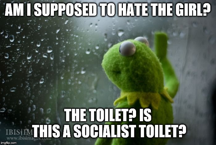 kermit window | AM I SUPPOSED TO HATE THE GIRL? THE TOILET? IS THIS A SOCIALIST TOILET? | image tagged in kermit window | made w/ Imgflip meme maker