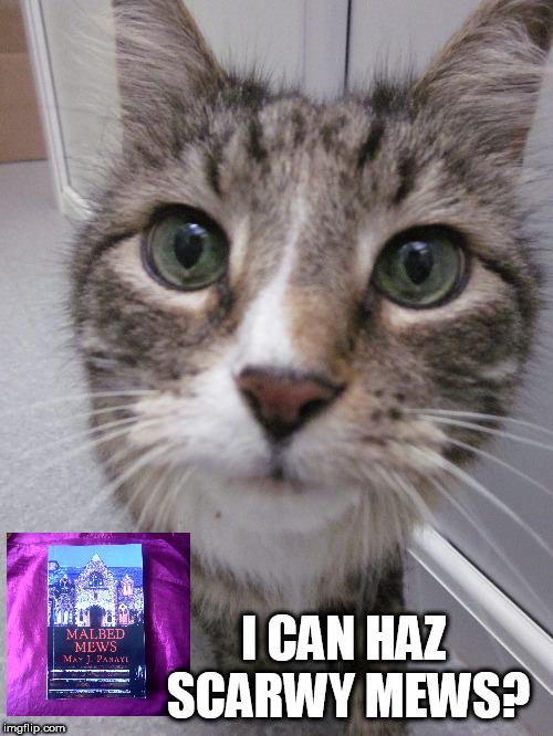 I can haz scarwy mews? | I CAN HAZ SCARWY MEWS? | image tagged in cats,lolcats,books,horror | made w/ Imgflip meme maker