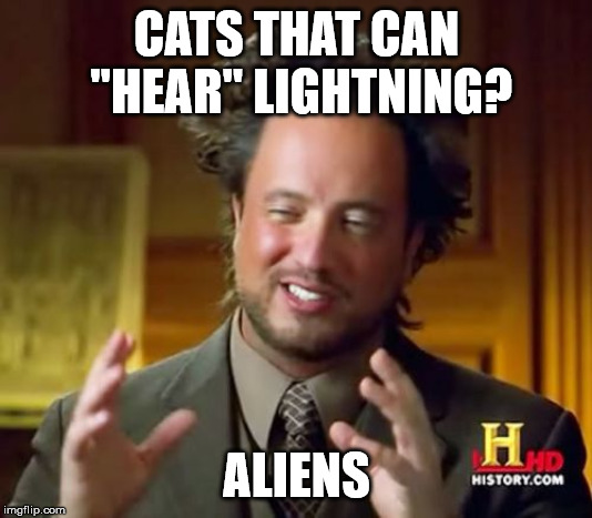 Ancient Aliens Meme | CATS THAT CAN "HEAR" LIGHTNING? ALIENS | image tagged in memes,ancient aliens | made w/ Imgflip meme maker