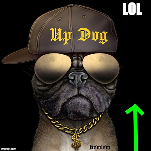 up dog | LOL | image tagged in up dog | made w/ Imgflip meme maker