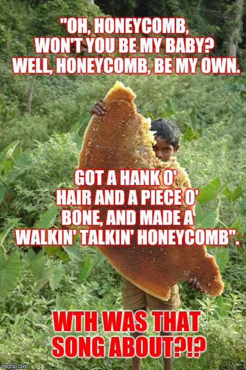 If You Wonder Why We're Weird ... That's Probably A Big Indicator, Right? | "OH, HONEYCOMB, WON'T YOU BE MY BABY?  WELL, HONEYCOMB, BE MY OWN. GOT A HANK O' HAIR AND A PIECE O' BONE, AND MADE A WALKIN' TALKIN' HONEYCOMB". WTH WAS THAT SONG ABOUT?!? | image tagged in honeycomb,wth,wait what,i don't get it,weird stuff,memes | made w/ Imgflip meme maker